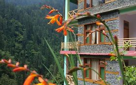 The Forest Pinnacle And Cafe, Jibhi